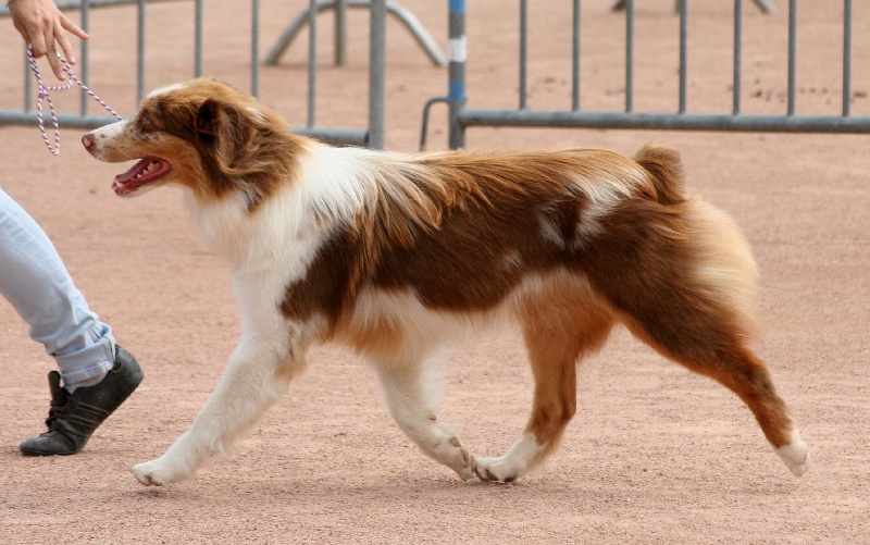 Publication : des Terres d'Urfé