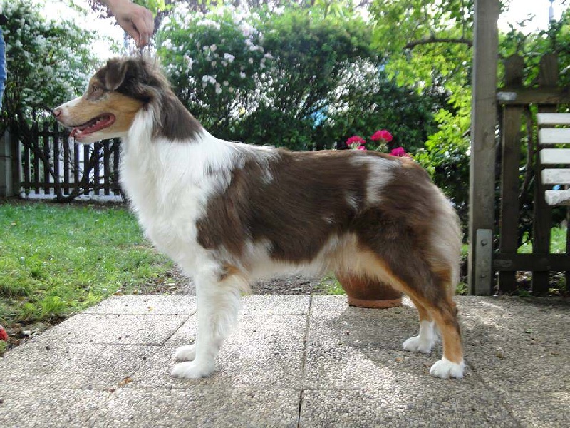 Publication : des Terres d'Urfé