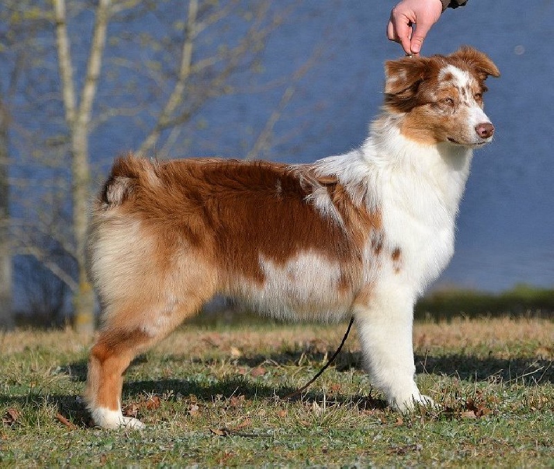 Publication : des Terres d'Urfé