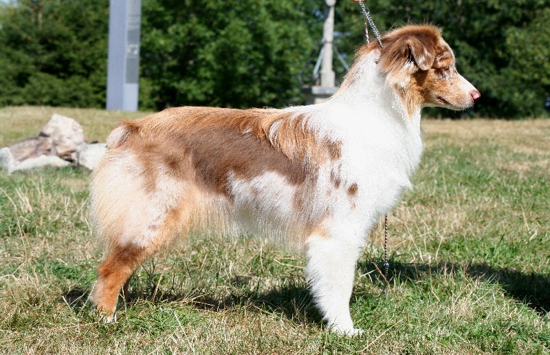 Publication : des Terres d'Urfé