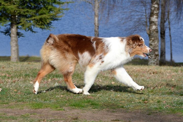 Publication : des Terres d'Urfé