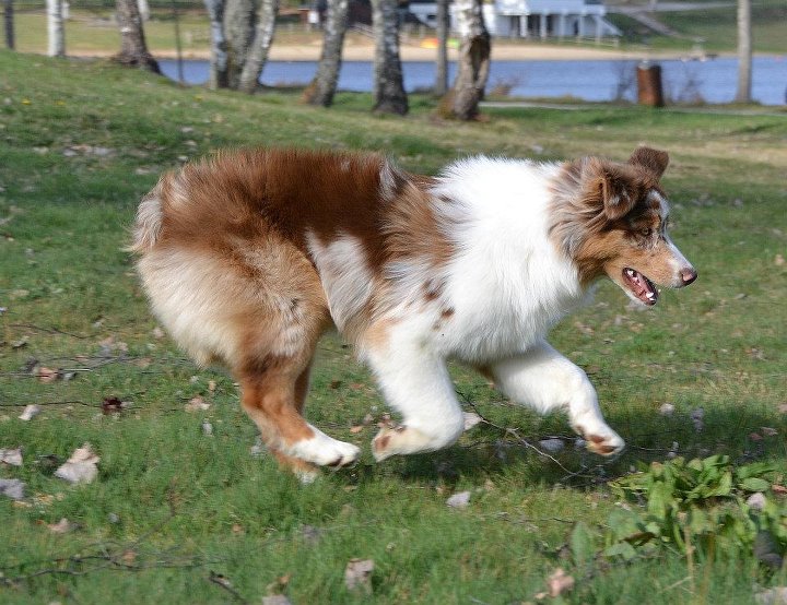 Publication : des Terres d'Urfé