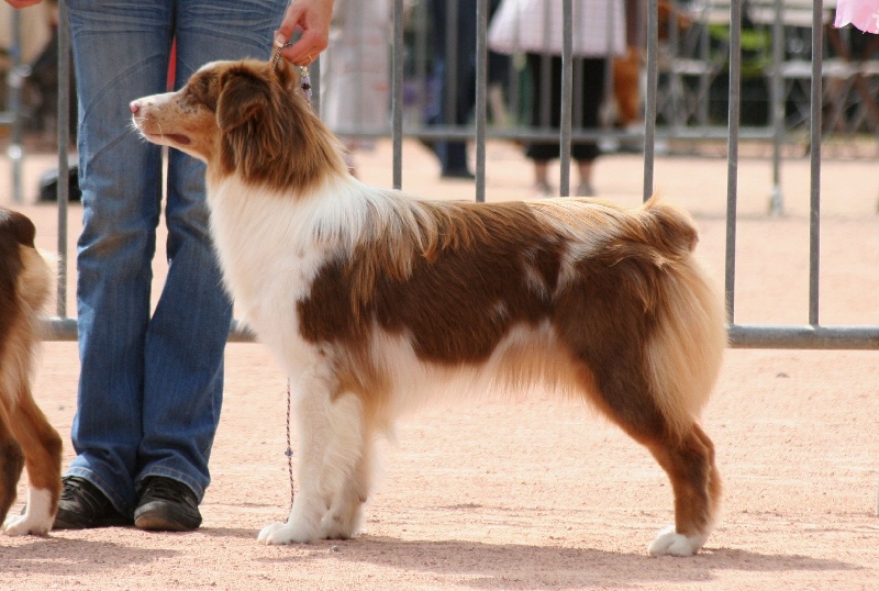 Publication : des Terres d'Urfé