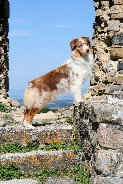 Publication : des Terres d'Urfé