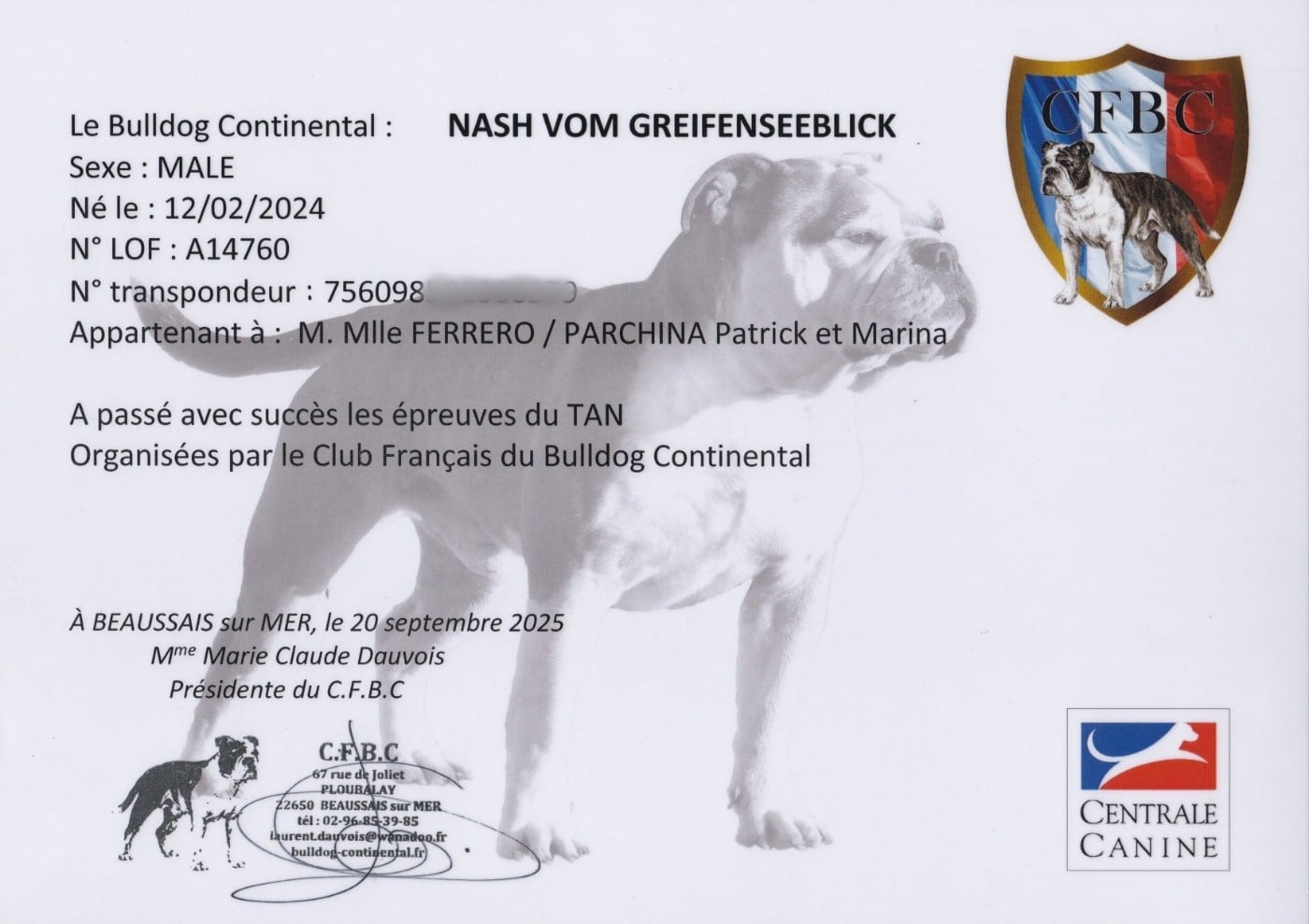 CH. NASH  vom greifenseeblick