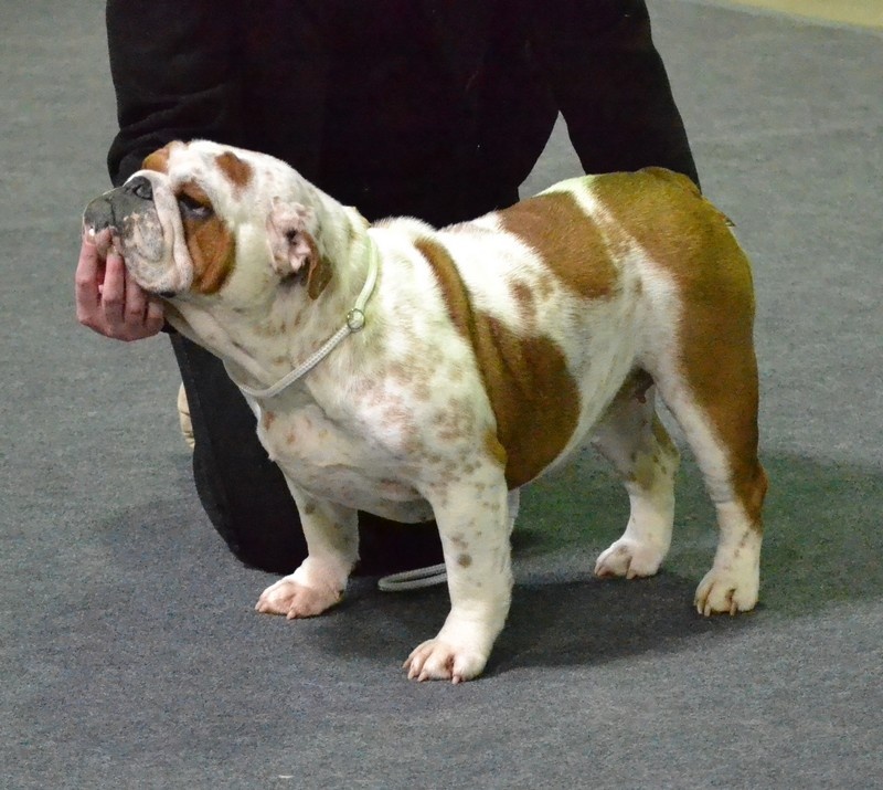 Is a real jewel De kalinka des roches blanches