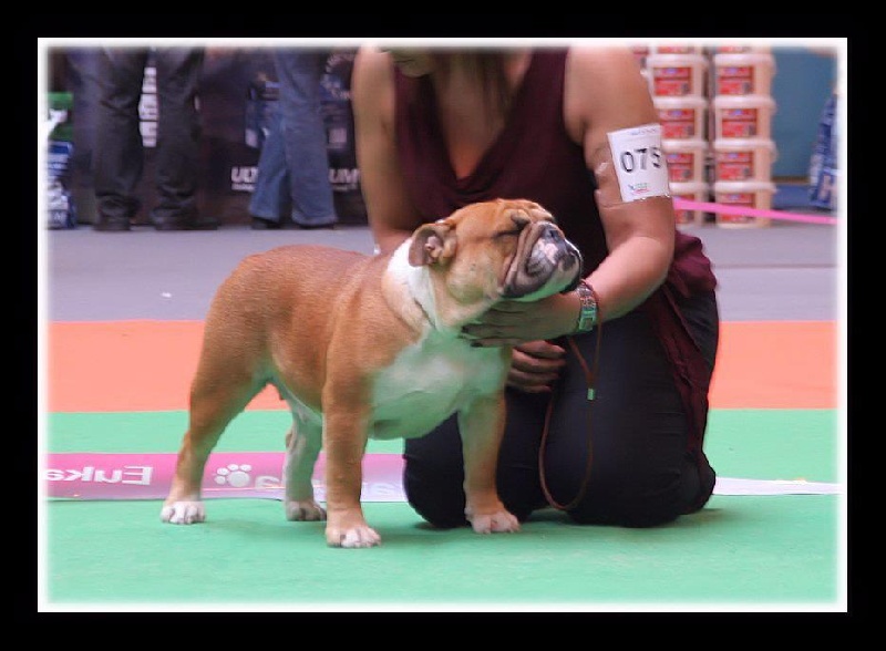 Glimmer of hope De kalinka des roches blanches