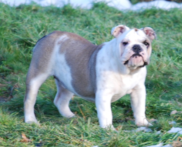 Family affair De kalinka des roches blanches