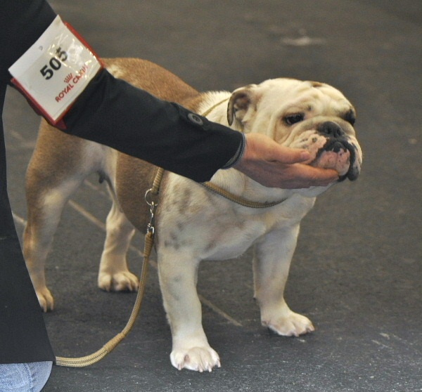 Family affair De kalinka des roches blanches