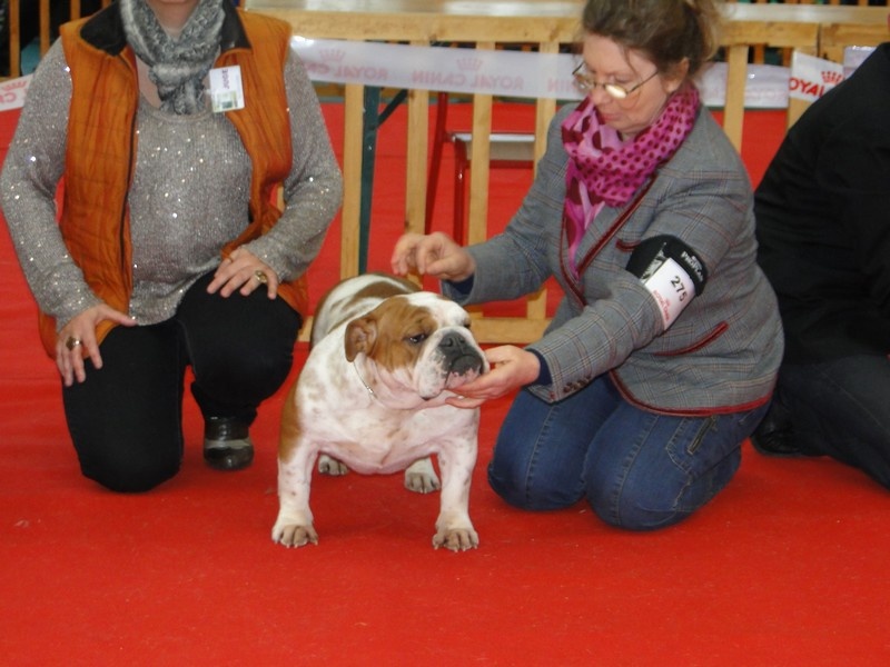 Is a real jewel De kalinka des roches blanches