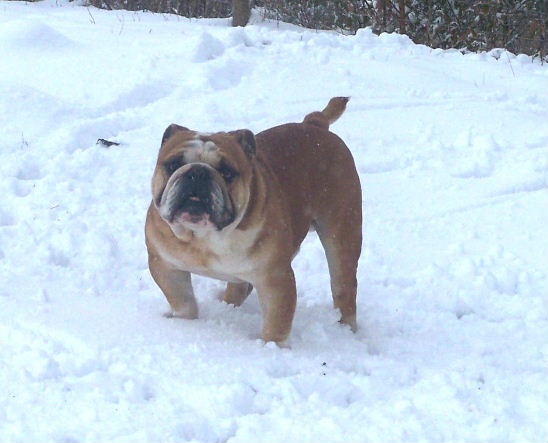 Publication : De kalinka des roches blanches Auteur : De Kalinka Des Roches Blanches