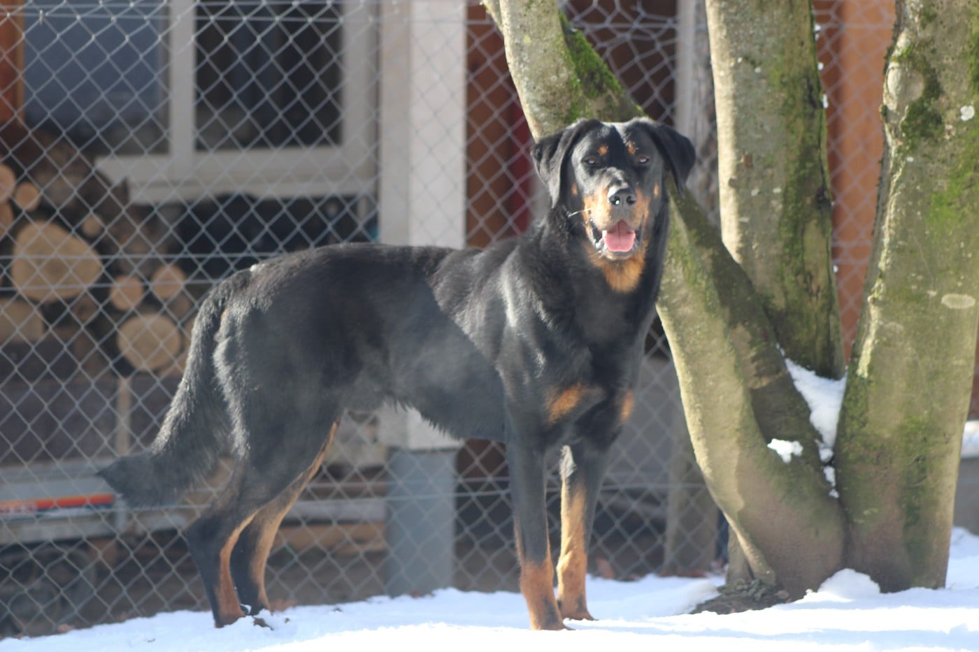 Vicomte (Sans Affixe)