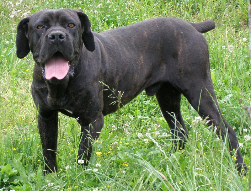 Publication : de Genevayse Auteur : Sandra DELAMARRE