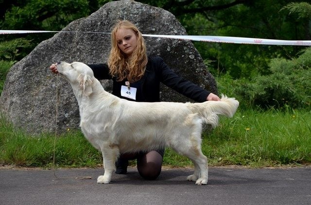 seven's dream For me, formidable - 1ère Excellent