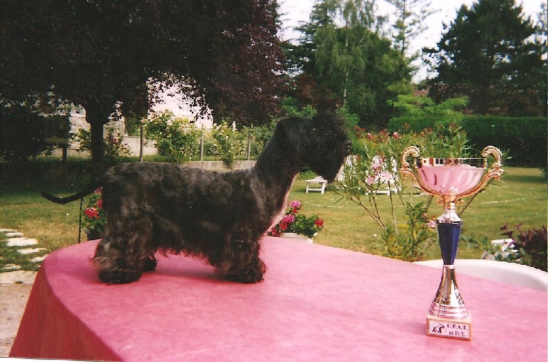 Publication : Des hauteurs de la sole Auteur : christian gilot