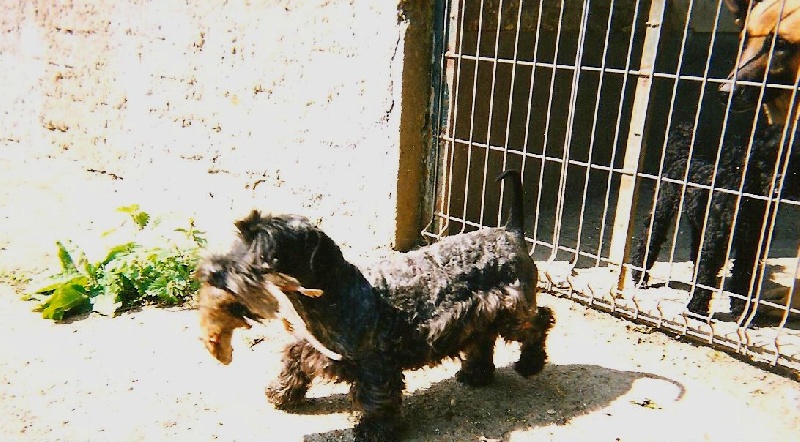 Publication : Des hauteurs de la sole