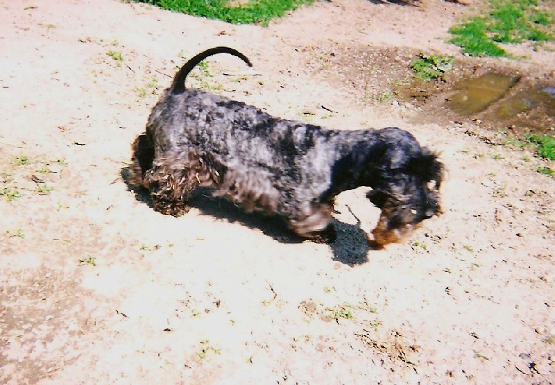 Publication : Des hauteurs de la sole