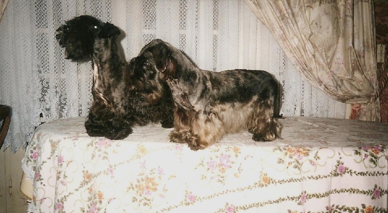 Publication : Des hauteurs de la sole