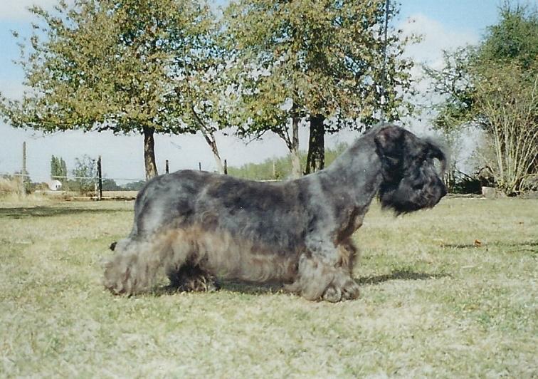 Publication : Des hauteurs de la sole