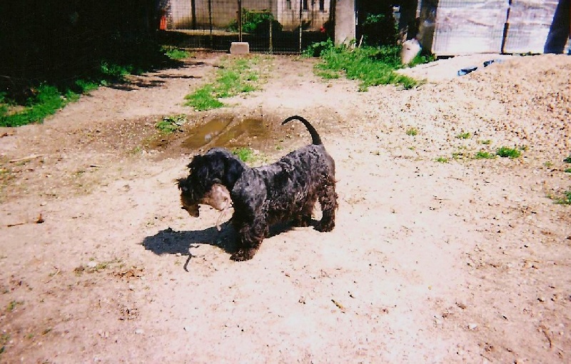 Publication : Des hauteurs de la sole