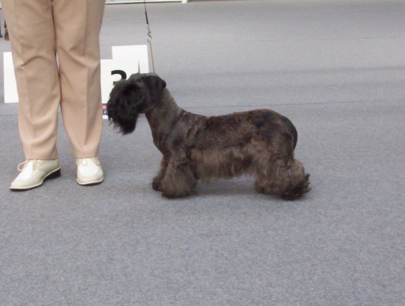 Publication : Des hauteurs de la sole