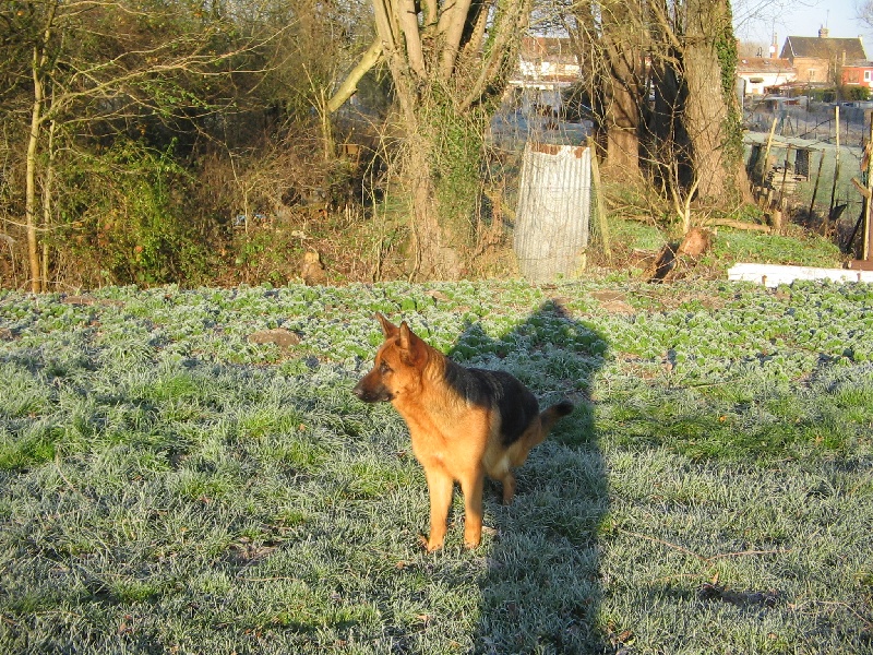 Publication : du domaine de Baccarat Auteur : AGATHA. SERGEANT