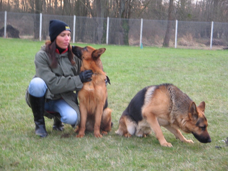 Publication : du domaine de Baccarat Auteur : AGATHA. SERGEANT