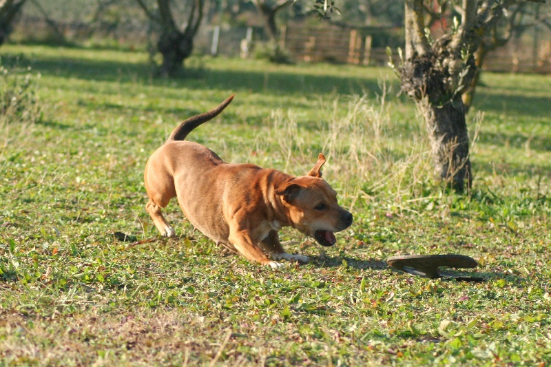 Publication : Oogie Boogie