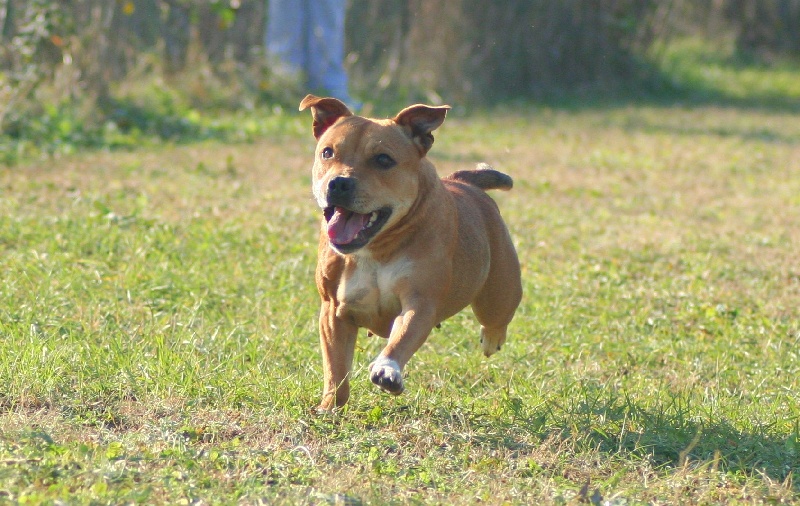 Publication : Oogie Boogie