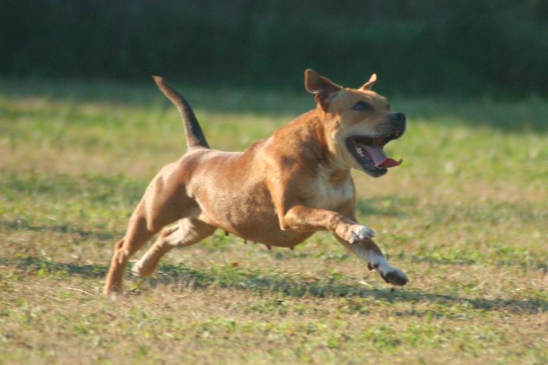 Publication : Oogie Boogie