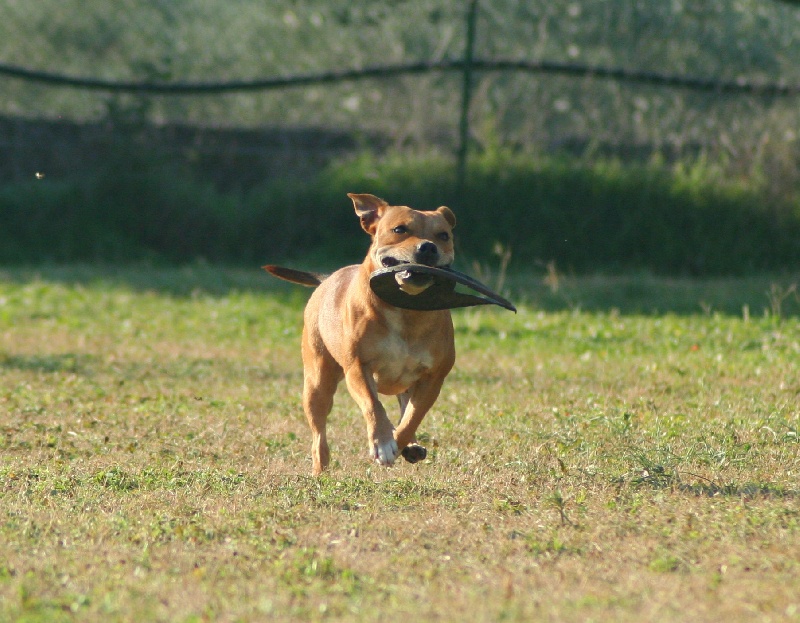 Publication : Oogie Boogie