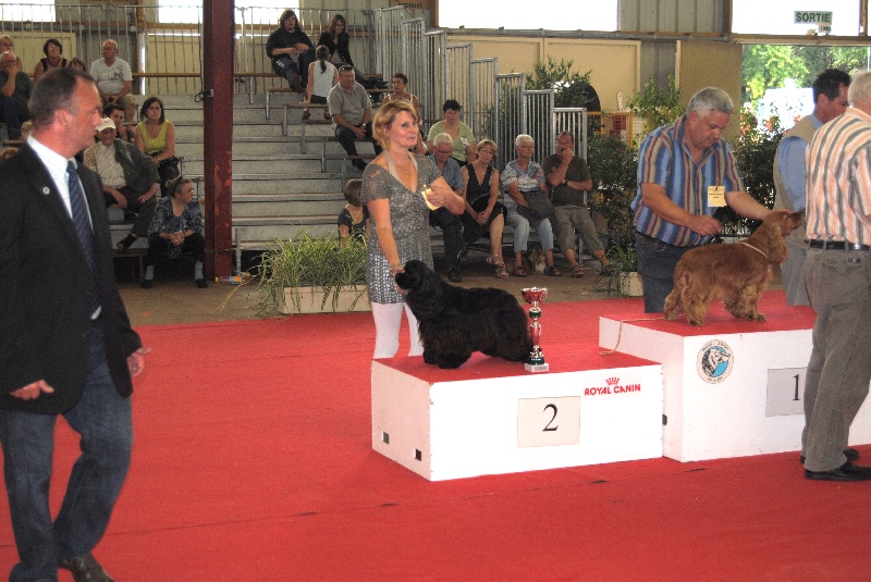 Publication : des pensées d'Odin Auteur : dautel corinne