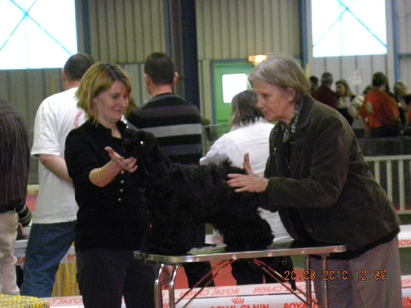 Publication : des pensées d'Odin Auteur : dautel corinne