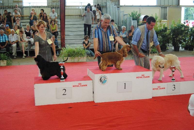 Publication : des pensées d'Odin Auteur : dautel corinne