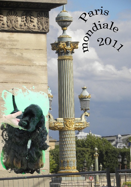 CH. Everything plus des pensées d'Odin - classe inter 3 ème excellent