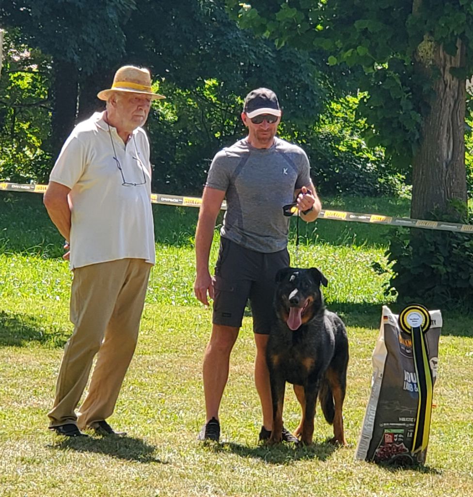 Schnaps bleu du serment des brumes