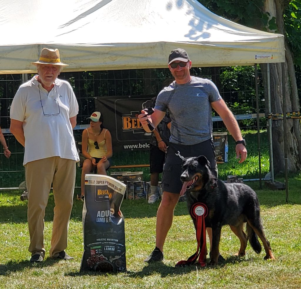 Schnaps bleu du serment des brumes