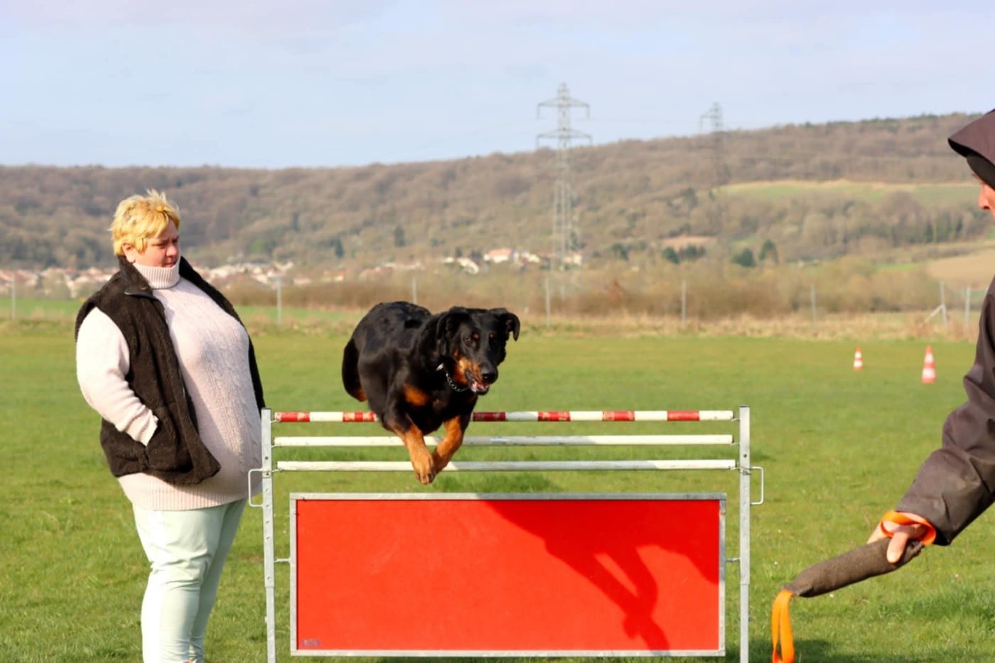 Toscane De La Valériane Fleurie