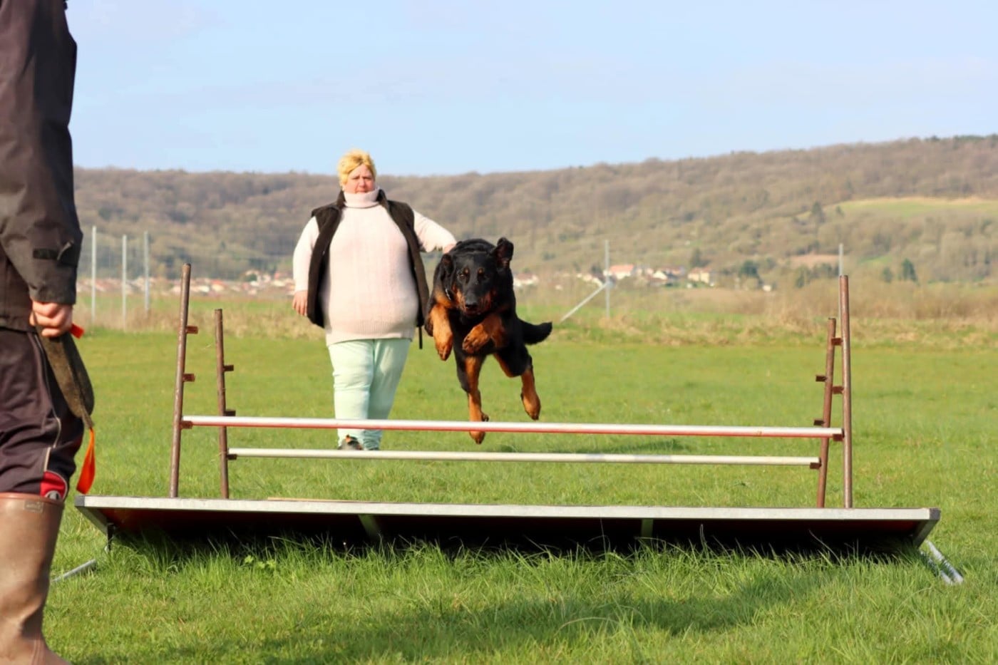 Toscane De La Valériane Fleurie