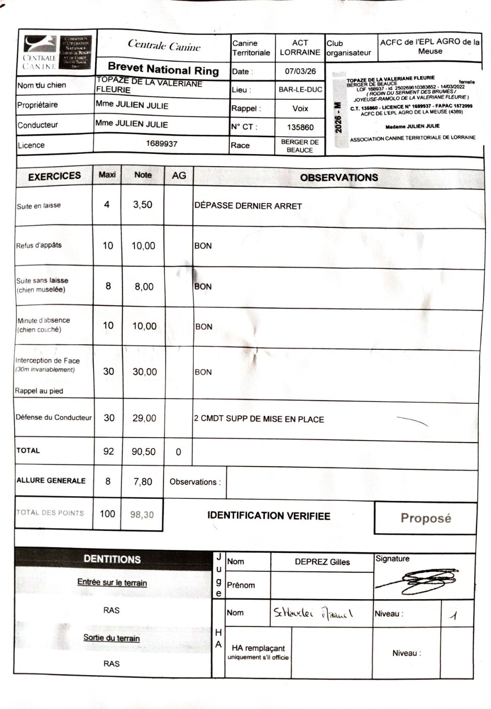 Toscane De La Valériane Fleurie