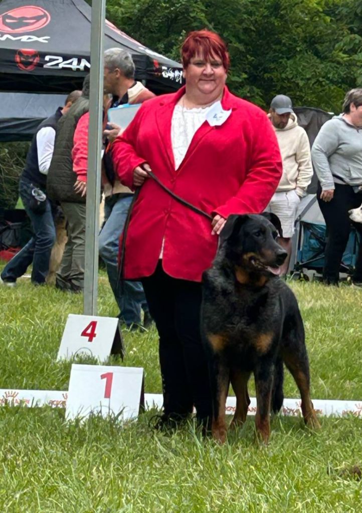 Schnaps bleu du serment des brumes