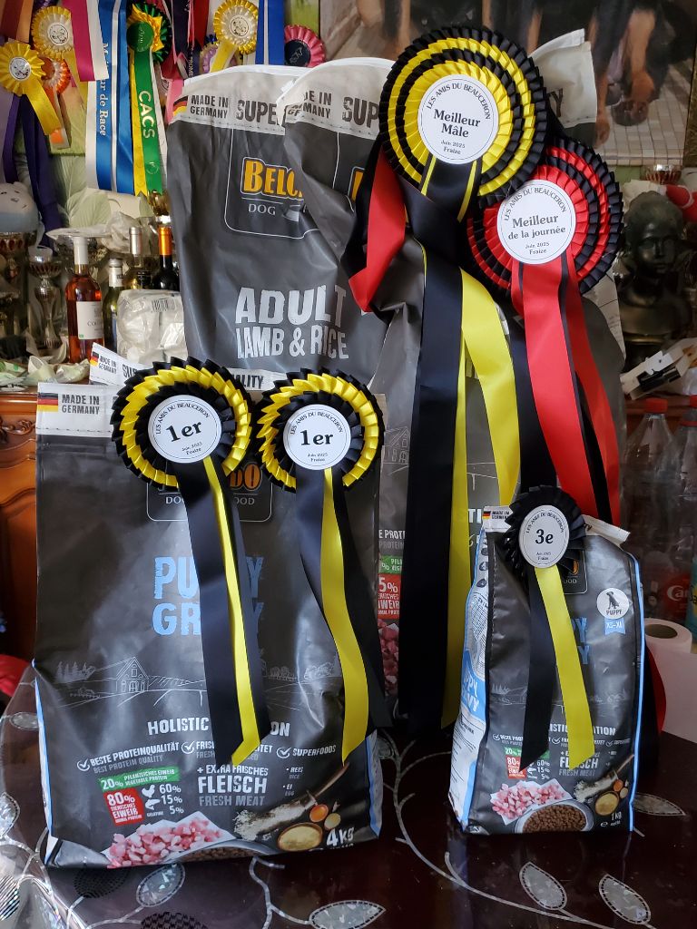 Schnaps bleu du serment des brumes