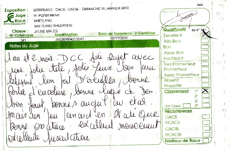 Flash blond De chiroulet - 1 excellent classe jeune mâles