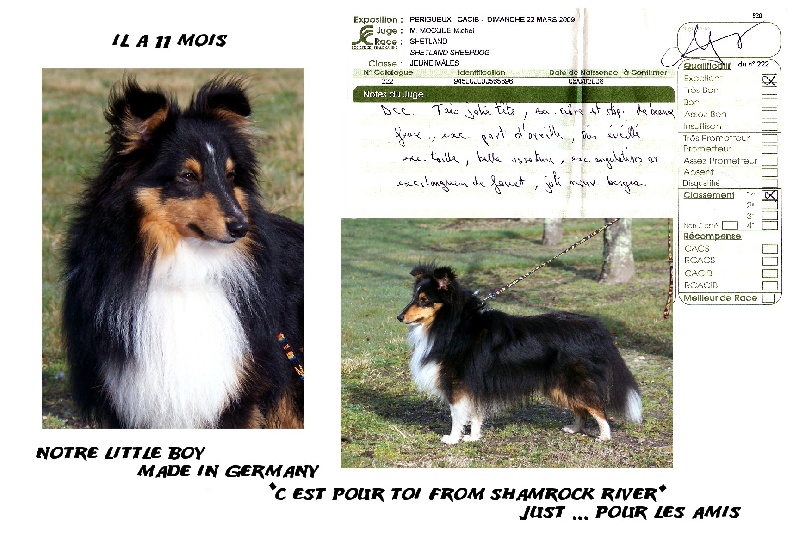 C'est pour toi from shamrock river - 1 excellent