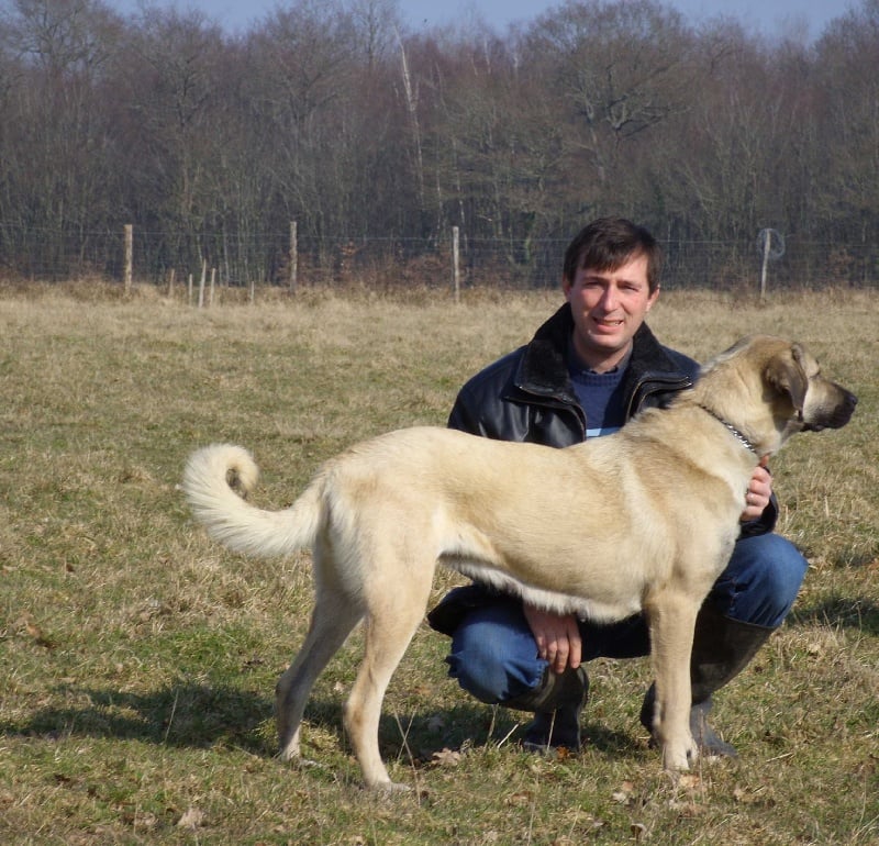 B'athena Titre Initial