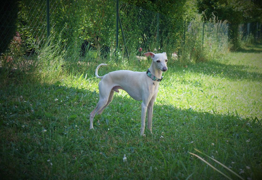 Publication : du p'tit Grain de Folie Auteur : NATHALIE HENRIOT