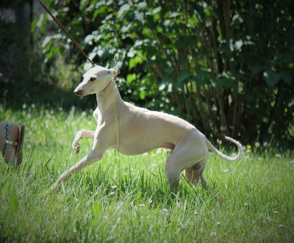 Publication : du p'tit Grain de Folie Auteur : NATHALIE HENRIOT