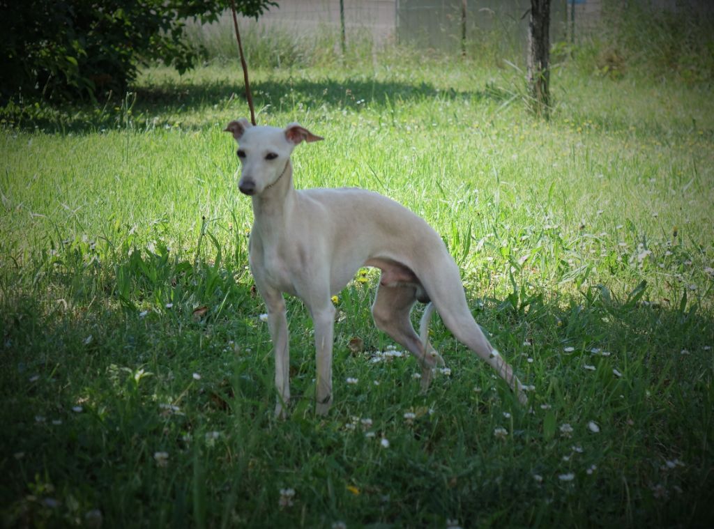 Publication : du p'tit Grain de Folie Auteur : NATHALIE HENRIOT