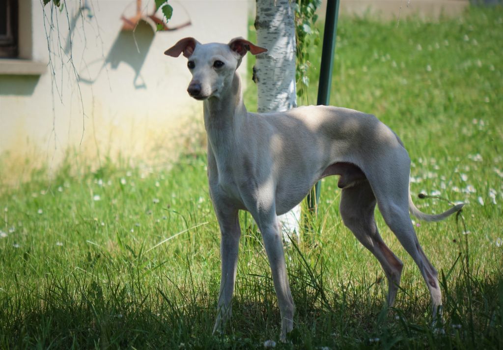 Publication : du p'tit Grain de Folie Auteur : NATHALIE HENRIOT