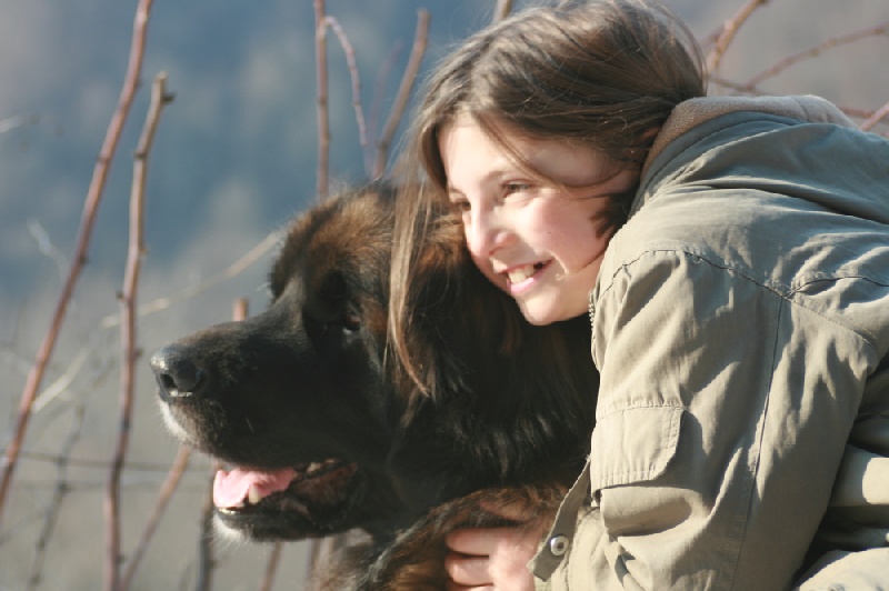 vidock  du Triskel de Stemidor 